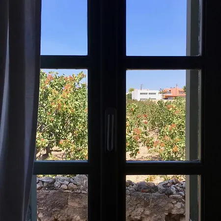 Town By Relax In Greece Aegina